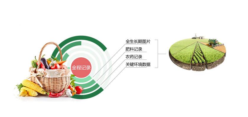 智慧农贸较传统市场的区别在哪？