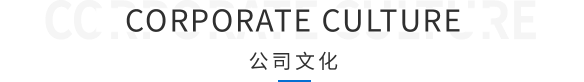 公司文化